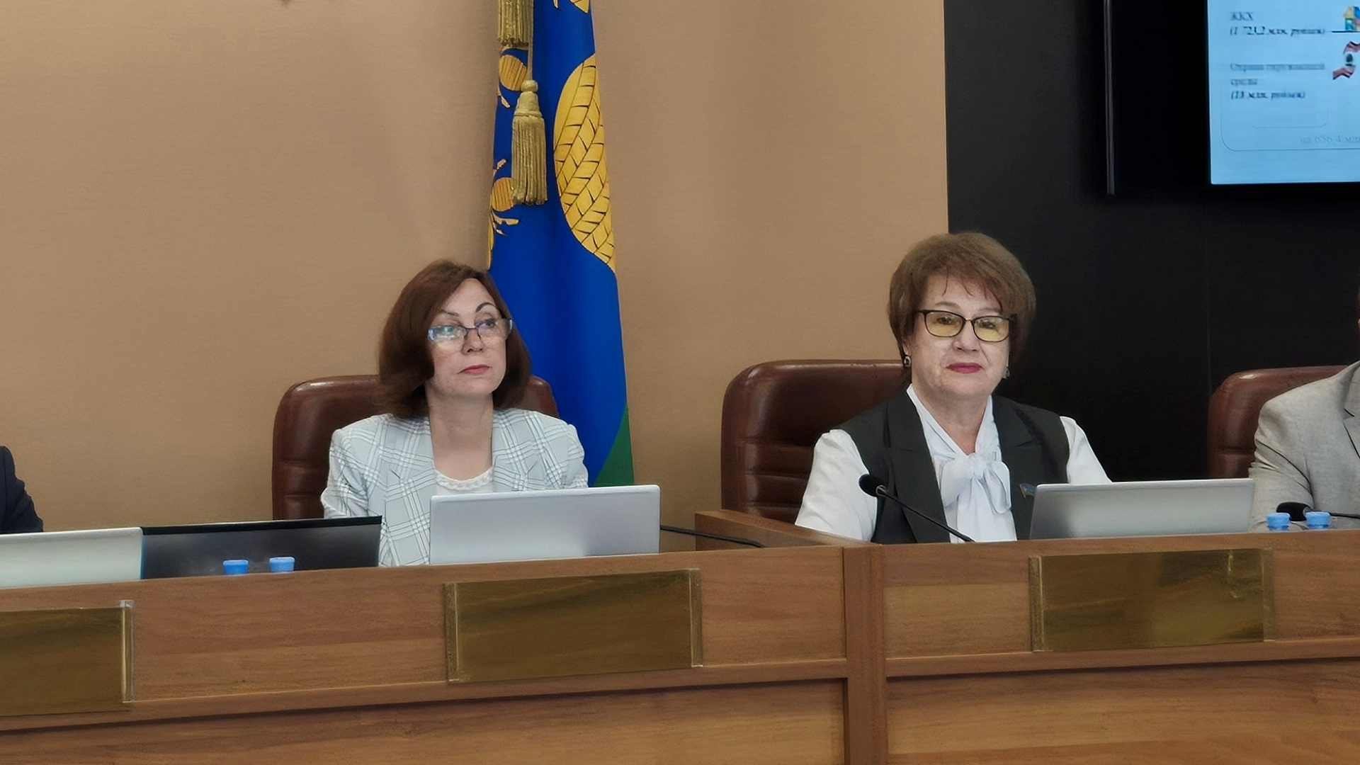 Елена Леонова: состоялось заседание Тамбовской городской Думы