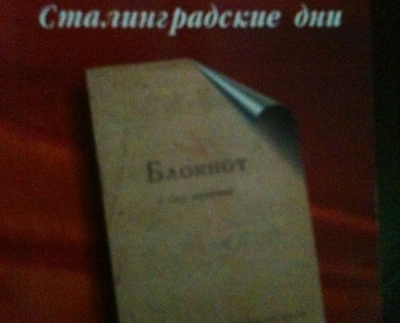 Волгоградские партийцы встретили гостей из Сибири