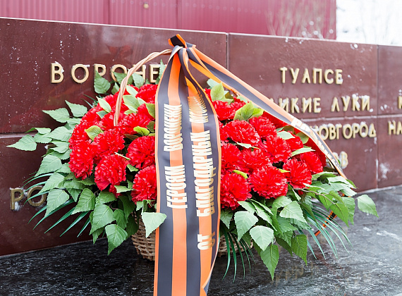 Партия "РОДИНА" почтила память погибших за Воронеж, 25.01.2015