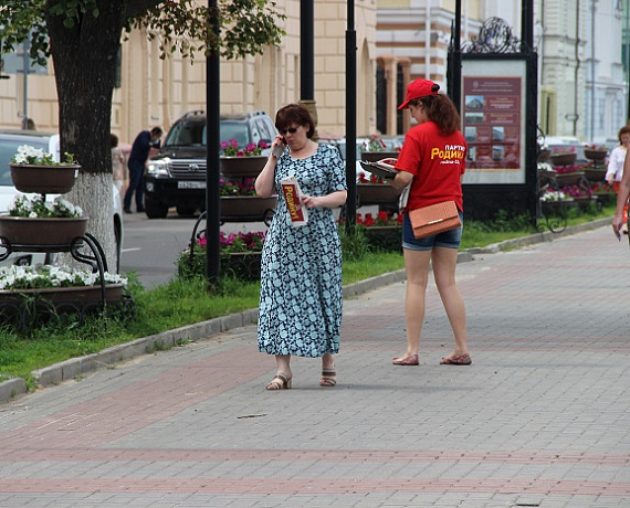 Нижегородские соратники провели пикет против повышения тарифов на электроэнергию