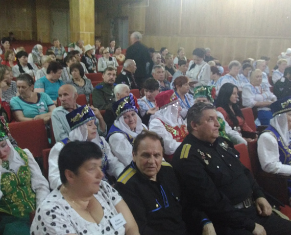 Краснодарские активисты провели Фестиваль казачьей культуры