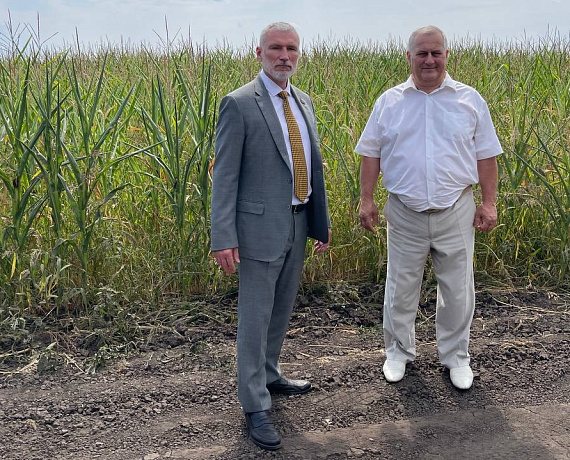 Лидер "РОДИНЫ" встретился с аграриями Тамбовщины на уборке зерна