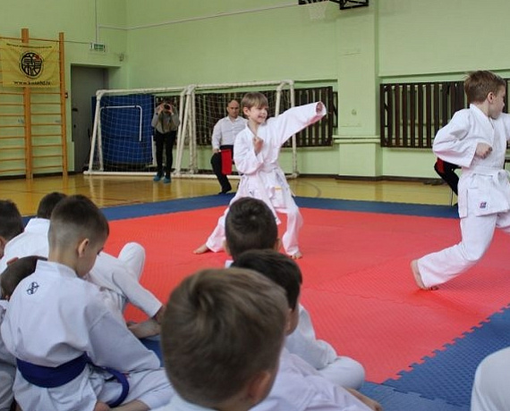 При поддержке депутата Вячеслава Илюхина прошел VI открытый чемпионат и первенство Сибирского федерального округа по каратэ