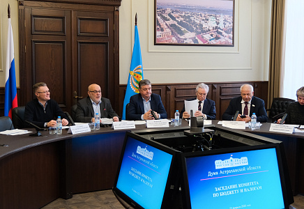 ЗАСЕДАНИЯ ПРОФИЛЬНЫХ КОМИТЕТОВ ДУМЫ АСТРАХАНСКОЙ ОБЛАСТИ