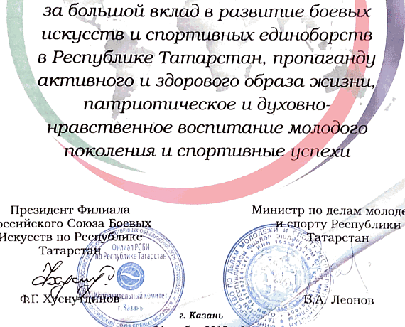Айрат Ханипов получил награду за большой вклад по развитию боевых искусств