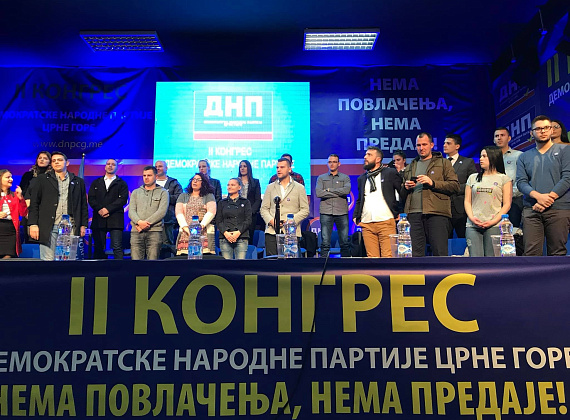 Визит делегации "РОДИНЫ" в Черногорию на съезд ДНП