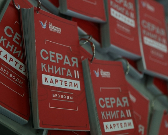 Вадим Нуждин презентовал новую версию "Серой книги"