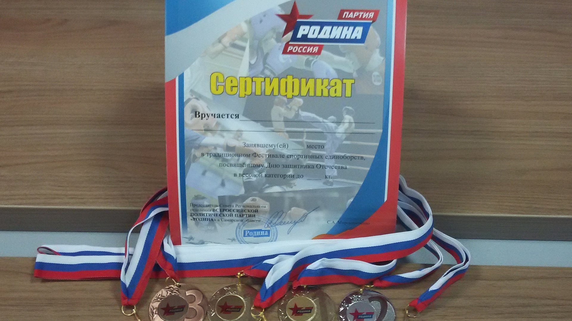 Самарские партийцы проведут Фестиваль спортивных единоборств