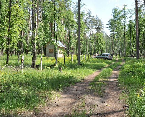 Самарские "родинцы" из ОНФ выявили факты захвата земель лесного фонда