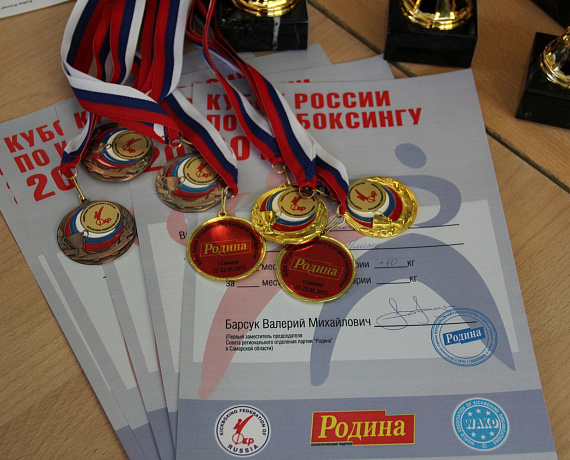 Самарская "РОДИНА" стала спонсором Кубка России по кикбоксингу