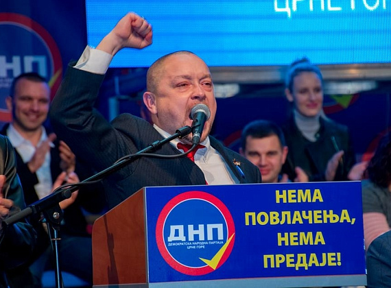 Визит делегации "РОДИНЫ" в Черногорию на съезд ДНП