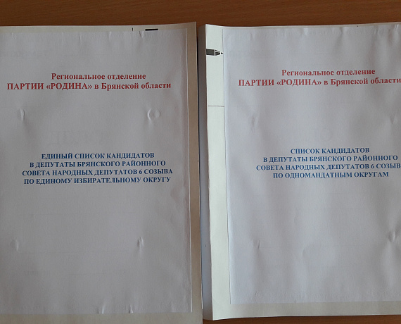 Брянское отделение партии "РОДИНА" представило документы в ТИК
