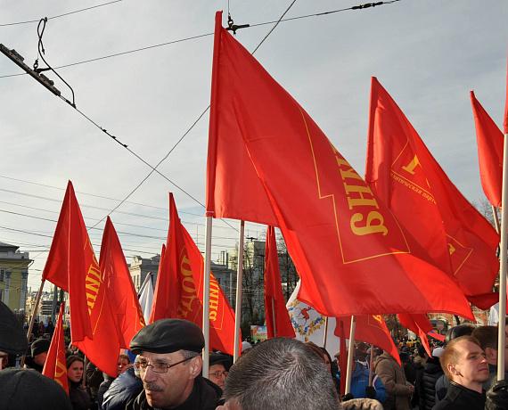 Социал-патриоты отметили День народного единства в Нижнем Новгороде