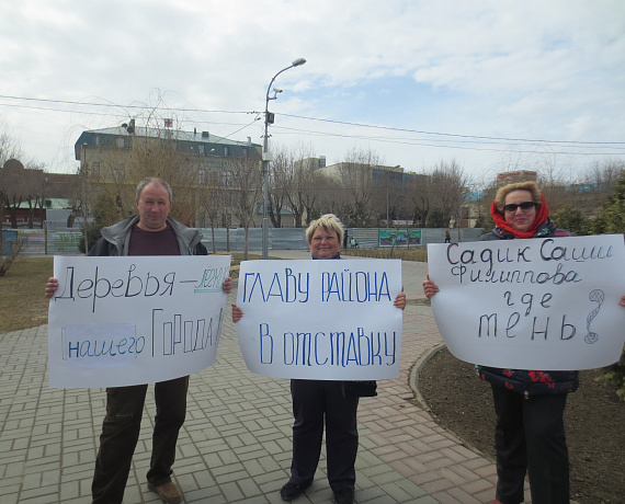Наталья Латышевская с активистами выступили против вырубки в Волгограде