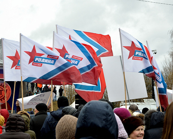 Брянская "РОДИНА" приняла участие в митинге-концерте "Мы вместе"