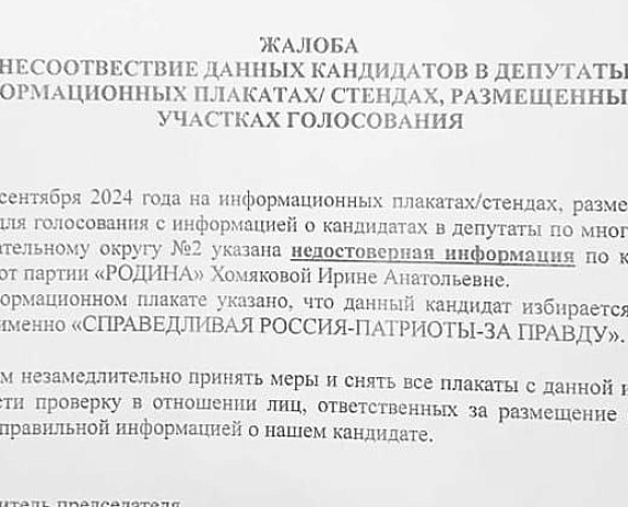 В Подмосковье проходит рейд кандидатов-родинцев по избирательным участкам