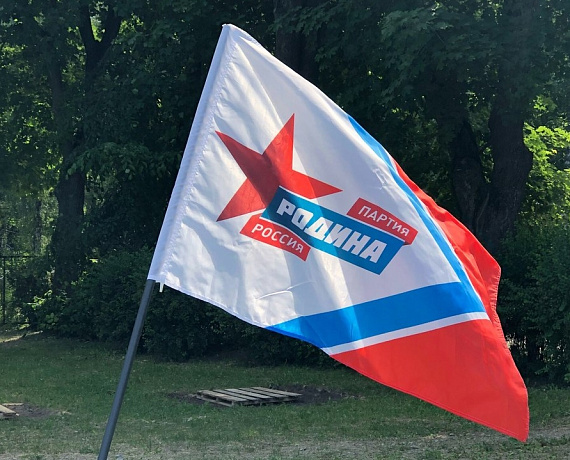 "Тигры Родины" провели детский турнир по футболу в Воронеже