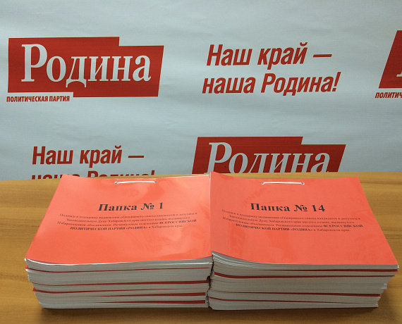 Хабаровские патриоты собрали подписи за кандидатов в думу