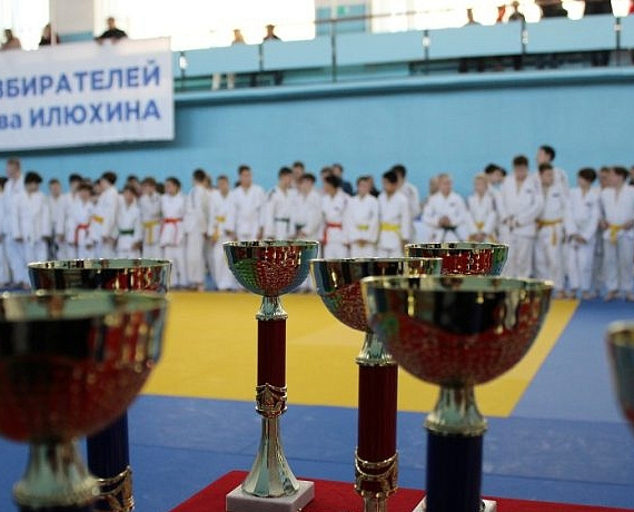 Прошло первенство Новосибирской области по дзюдо на призы депутата Заксобрания Вячеслава Илюхина