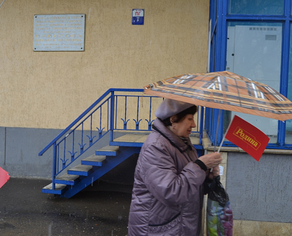 Патриоты Саратова поддержали пикетами выборы в Новороссии