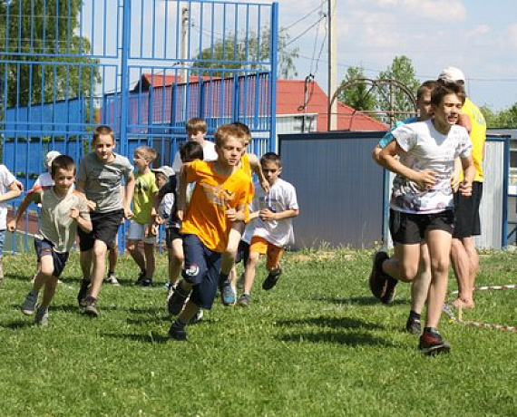 Ярославская "РОДИНА" приняла участие в организации сдачи нормативов ГТО