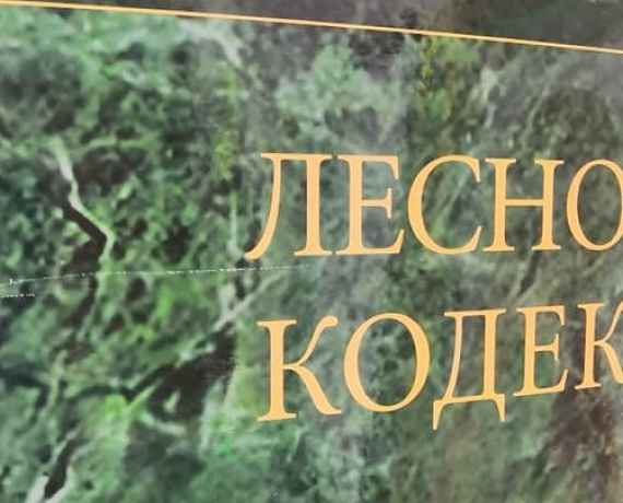 Ивановские и кировские соратники обменялись опытом в сфере охраны лесных ресурсов