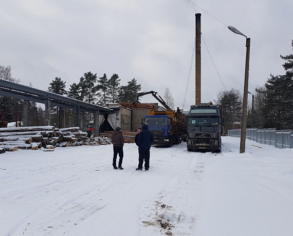 Псковские партийцы помогли землякам заготовить дрова для отопления жилья