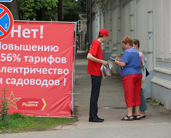 Нижегородские соратники провели пикет против повышения тарифов на электроэнергию