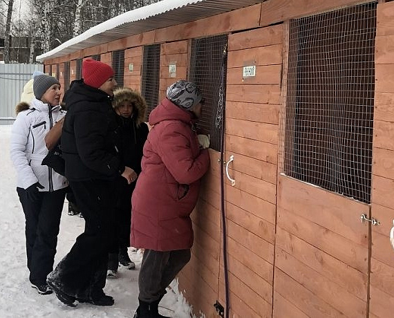 В Новосибирске открыта площадка временного содержания безнадзорных животных, построенная на средства Вячеслава Илюхина