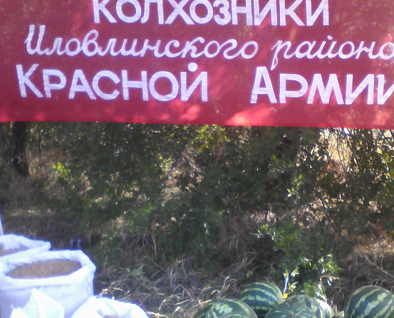 Волгоградские партийцы засеяли поле Мира семенами озимых культур