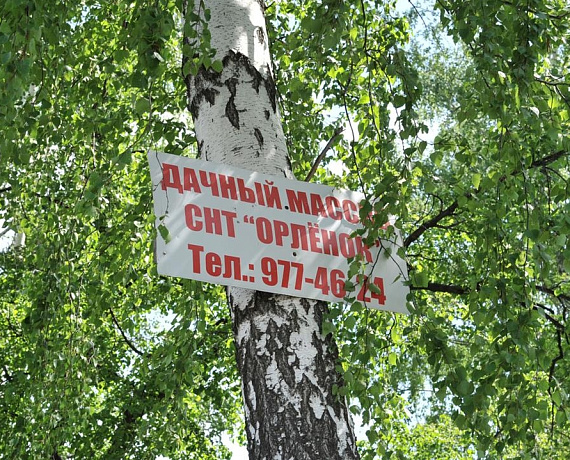 Самарские "родинцы" из ОНФ выявили факты захвата земель лесного фонда