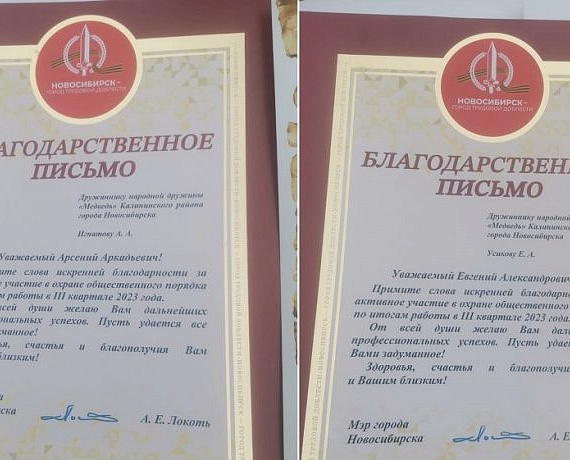 В Новосибирске высоко оценили работу народной дружины "Медведь", созданную по инициативе Клуба избирателей Вячеслава Илюхина