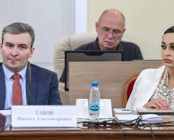 "РОДИНА" приняла участие в думских слушаниях, приуроченных к Году семьи