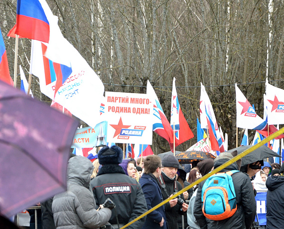 Брянская "РОДИНА" приняла участие в митинге-концерте "Мы вместе"