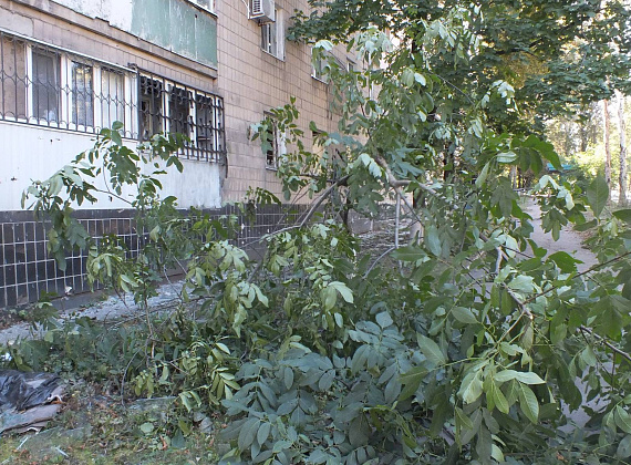 Алексей Журавлёв в Донецке. Последствия обстрелов хунты, 22 сентября 2014 г.