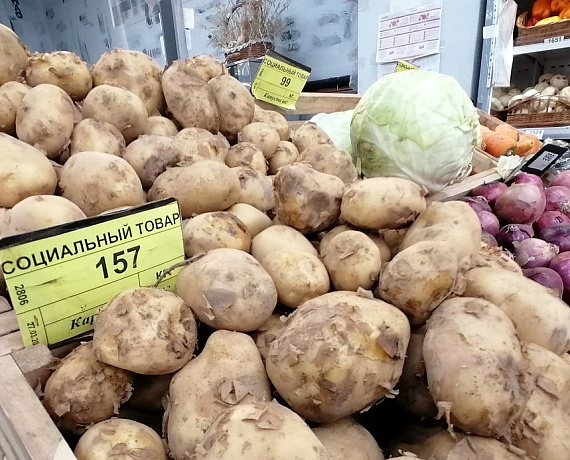 Краснодарская "РОДИНА": Ценообразование на продукты питания - вопрос национальной безопасности