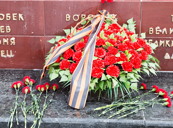 Партия "РОДИНА" почтила память погибших за Воронеж, 25.01.2015