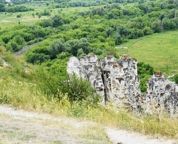Воронежская "РОДИНА" организовала экскурсию для многодетных семей города Россошь