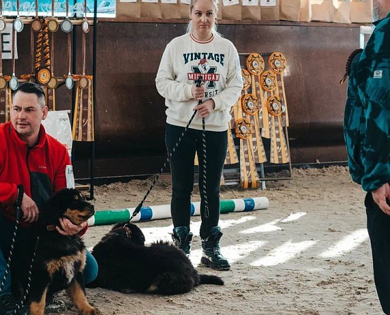 Иркутская "РОДИНА" спонсировала первую в РФ выставку собак породы монгол банхар