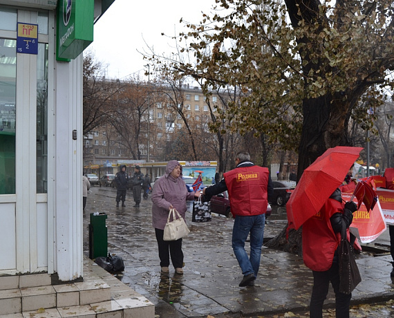 Патриоты Саратова поддержали пикетами выборы в Новороссии