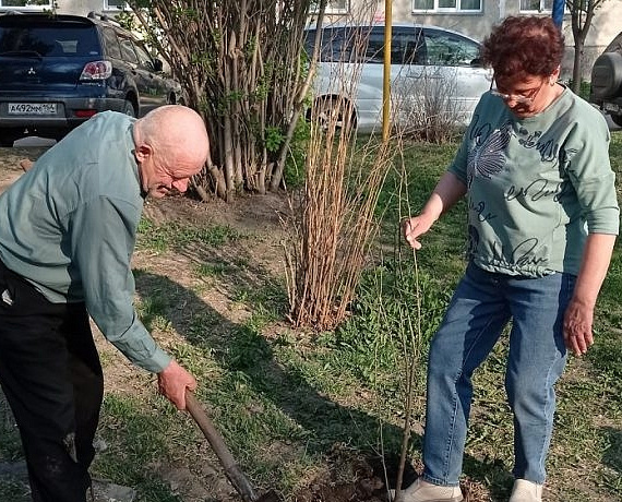 Соратники Новосибирской "РОДИНЫ" провели акцию "Наша Родина — цветущий сад"