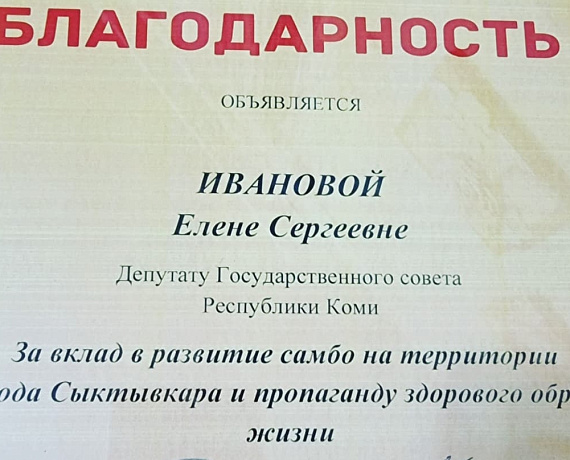 Депутат от "РОДИНЫ" Елена Иванова вручила награды Госсовета Коми к Всероссийскому дню самбо