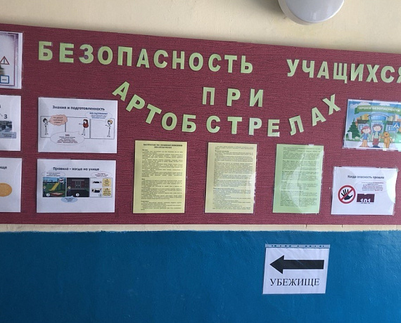 Татьяна Калегина: Партия "РОДИНА" готова возродить "Тимуровское движение"