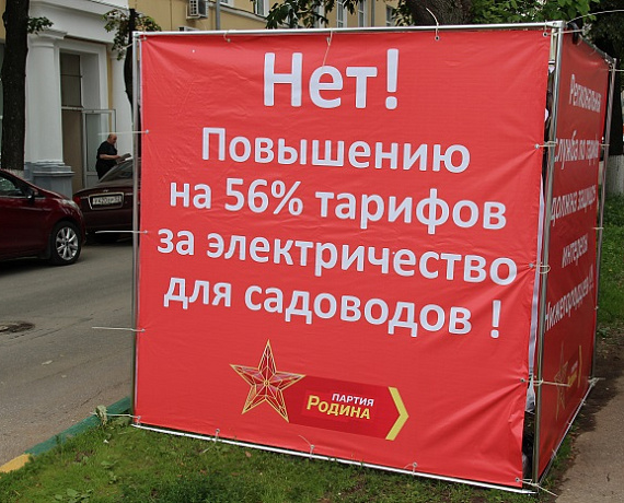 Нижегородские соратники провели пикет против повышения тарифов на электроэнергию