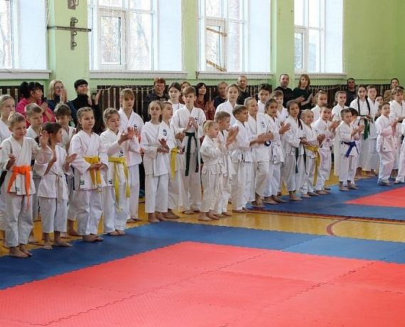 При поддержке депутата Вячеслава Илюхина прошел VI открытый чемпионат и первенство Сибирского федерального округа по каратэ