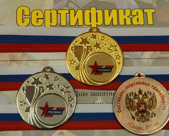 Самарская "РОДИНА" проведет XIX Фестиваль спортивных единоборств