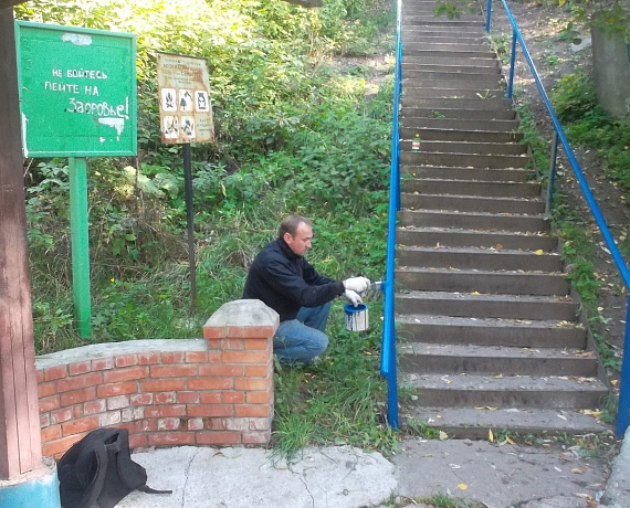 Ульяновские активисты провели субботник