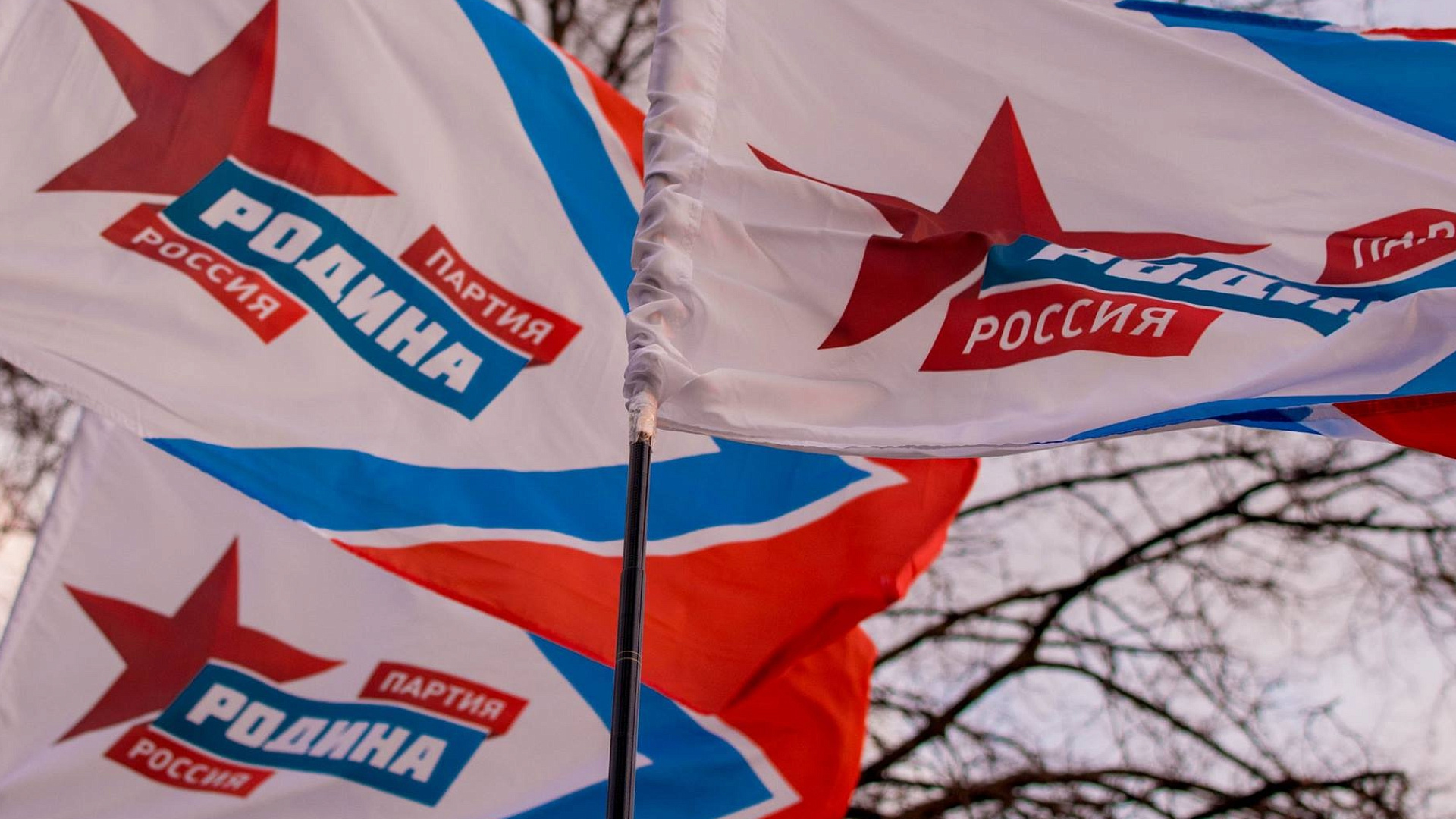 Парахин исключен из партии "РОДИНА" и снят с должности председателя реготделения в Орловской области