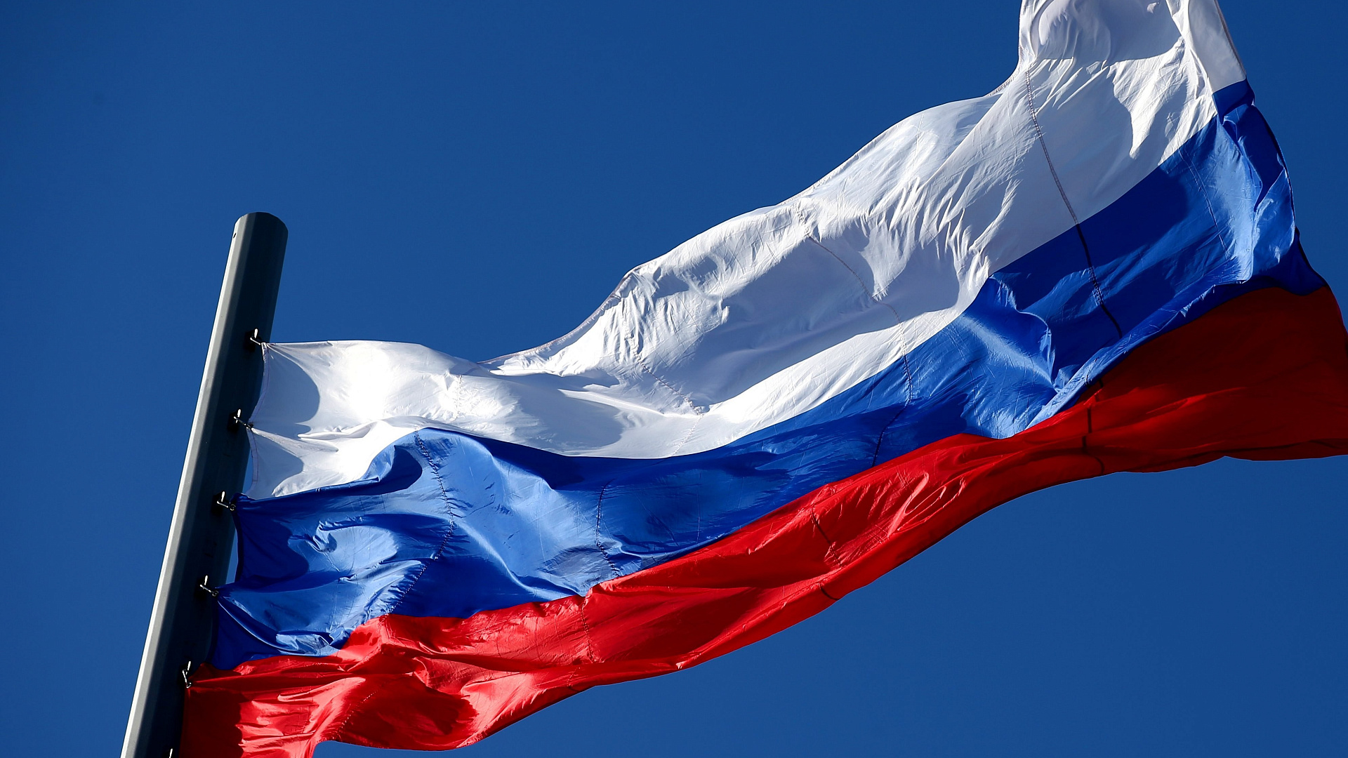 День государственного флага России отметили в Подмосковье