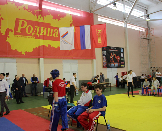 Самарская "РОДИНА" провела кубок России по кикбоксингу
